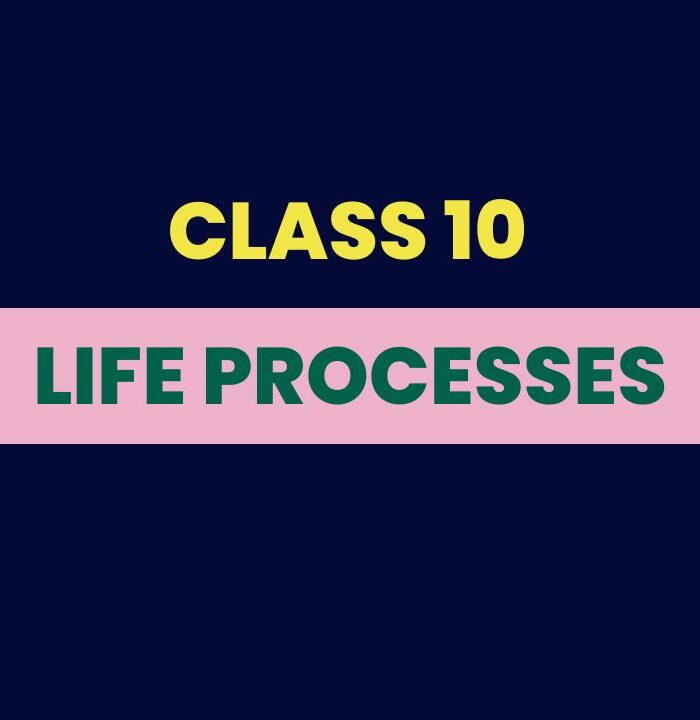Life processes Class 10 Notes