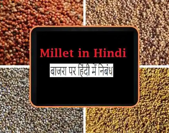 Millet in hindi