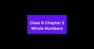 Math quiz for class 6 Chapter 2 with questions and answers