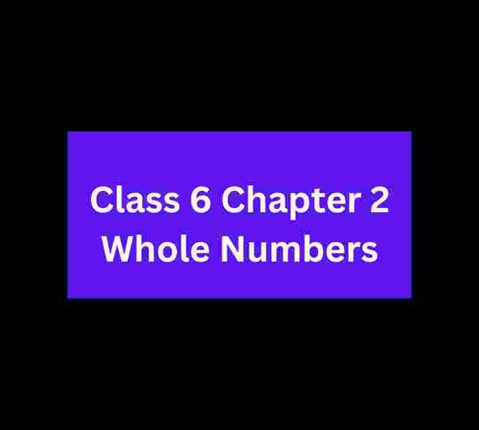 Math quiz for class 6 Chapter 2 with questions and answers