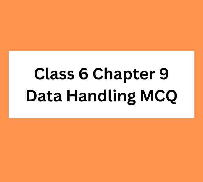Class 6 Chapter 9 Data Handling MCQ