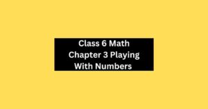 Class 6 Math Chapter 3 Playing With Numbers MCQ