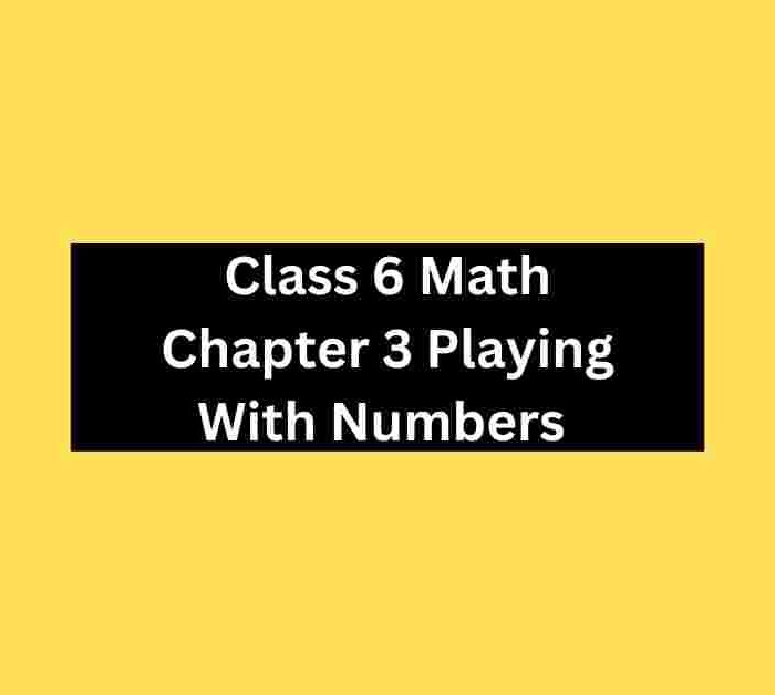 Class 6 Math Chapter 3 Playing With Numbers MCQ