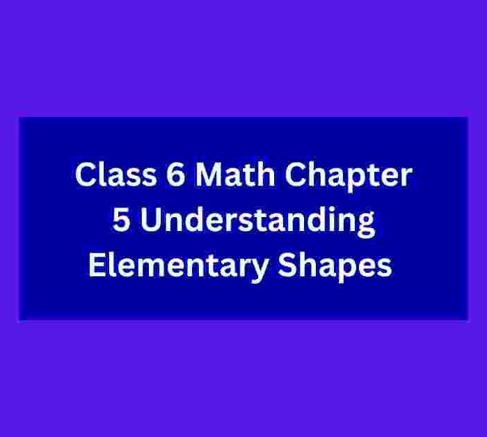 Class 6 Math Chapter 5 Understanding Elementary Shapes