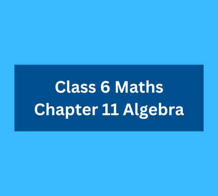 Class 6 Maths Chapter 11 Algebra