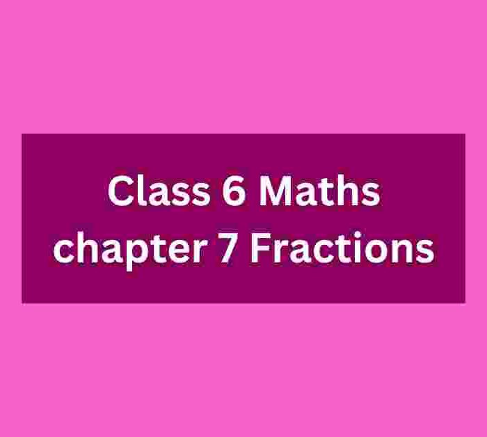 Class 6 Maths chapter 7 Fractions