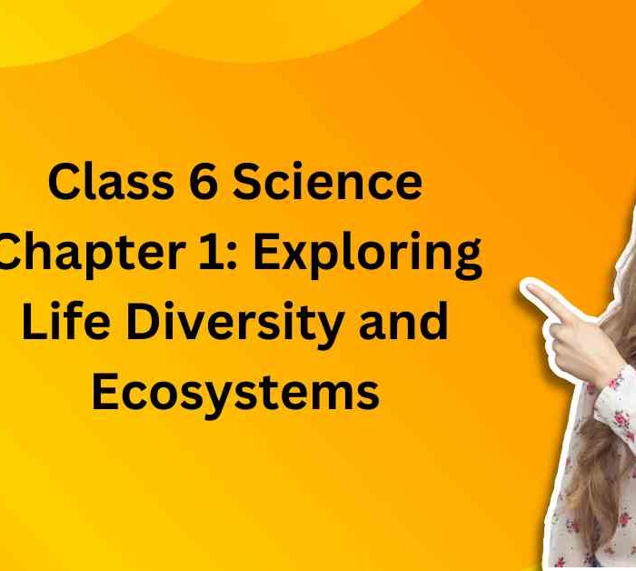Class 6 Science Chapter 1