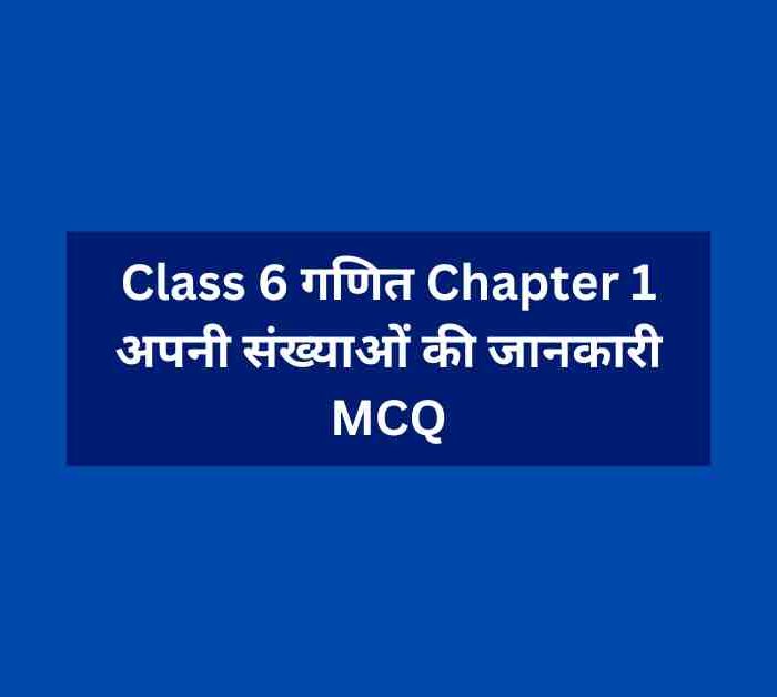 Class 6 गणित Chapter 1 अपनी संख्याओं की जानकारी MCQ