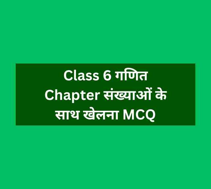 Class 6 गणित Chapter संख्याओं के साथ खेलना MCQ