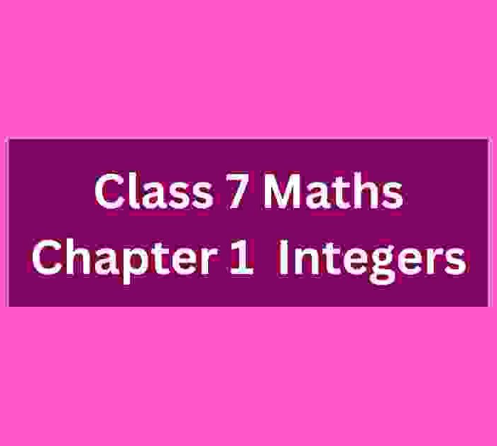integers class 7 mcq online test